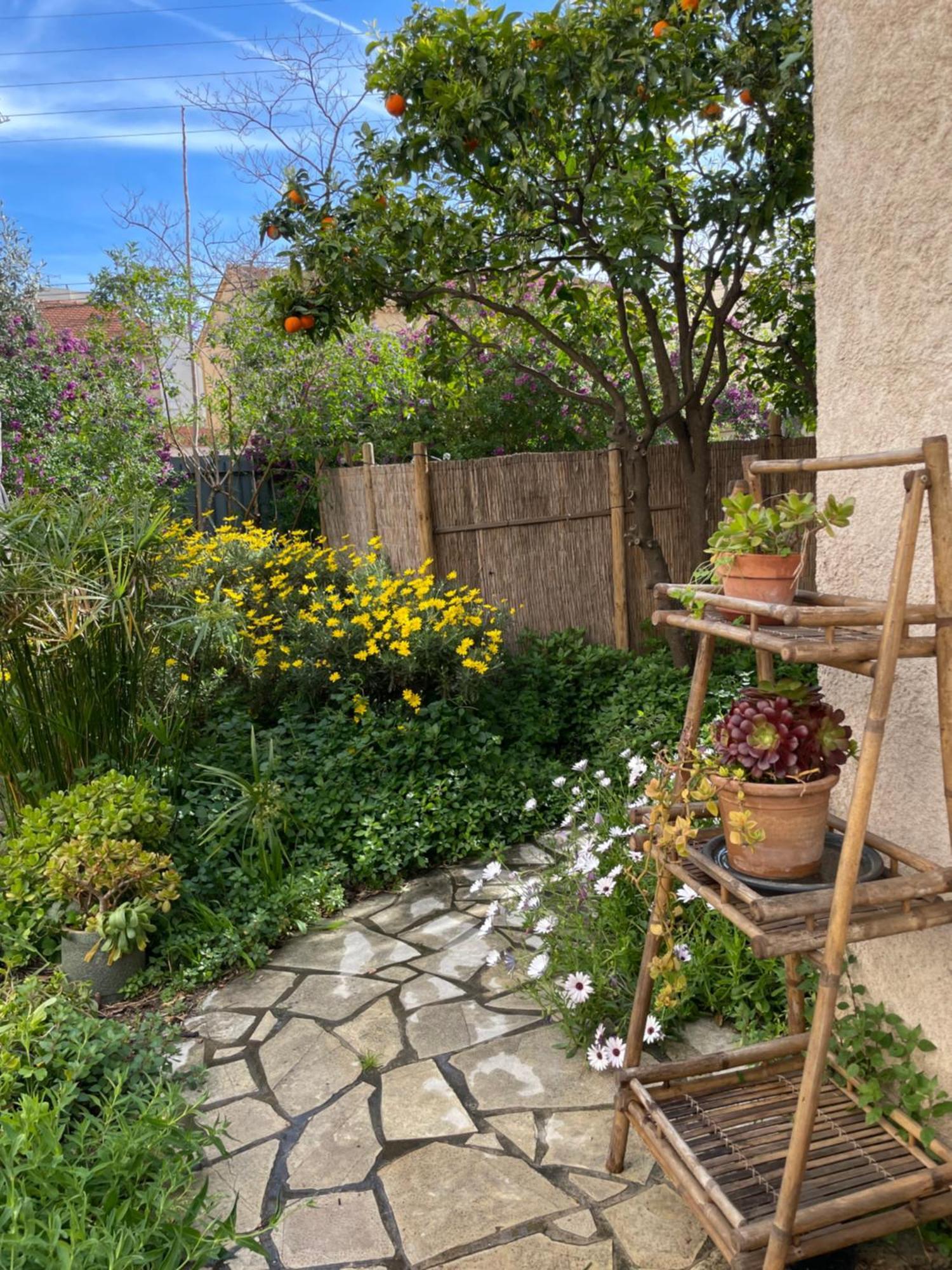 2 Appartements Calmes Fréjus Eksteriør bilde