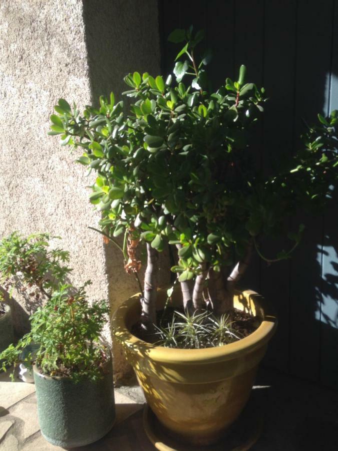 2 Appartements Calmes Fréjus Eksteriør bilde