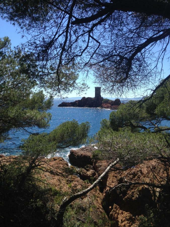 2 Appartements Calmes Fréjus Eksteriør bilde