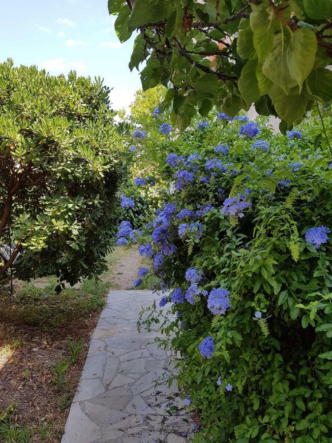2 Appartements Calmes Fréjus Eksteriør bilde