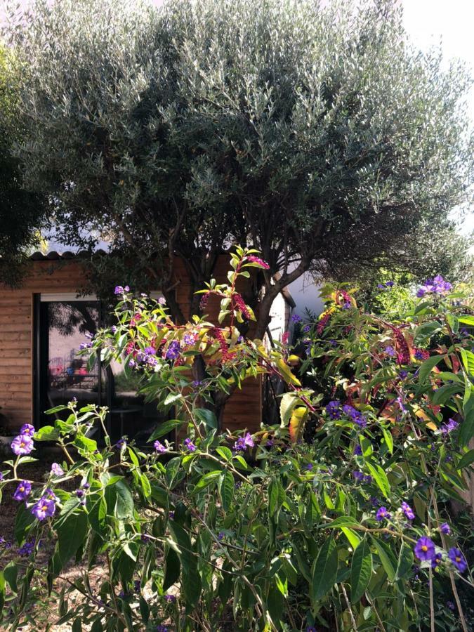 2 Appartements Calmes Fréjus Eksteriør bilde